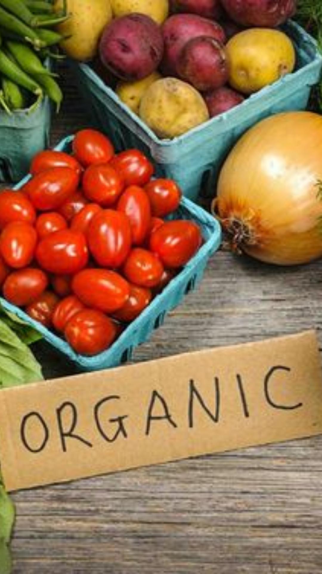 Como Incluir Alimentos Orgânicos na Alimentação Infantil