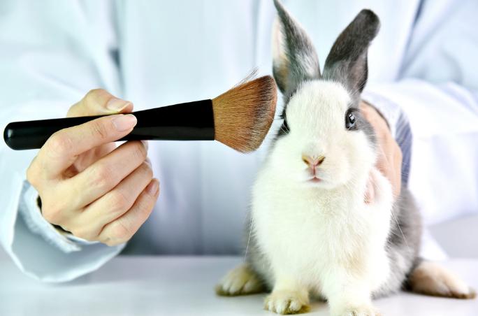 cosméticos cruelty free